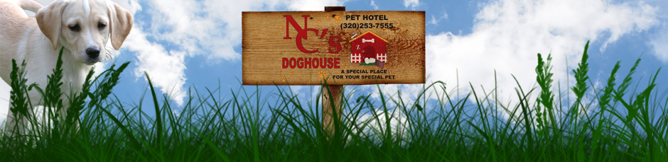 NC's Doghouse of Saint Cloud